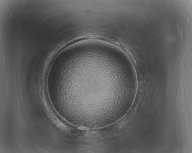 X0000083550145200702091107