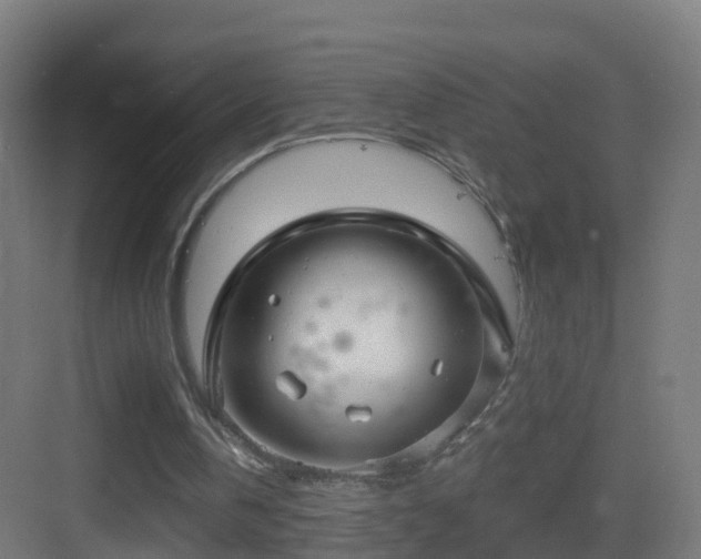 X0000083550146200702091107