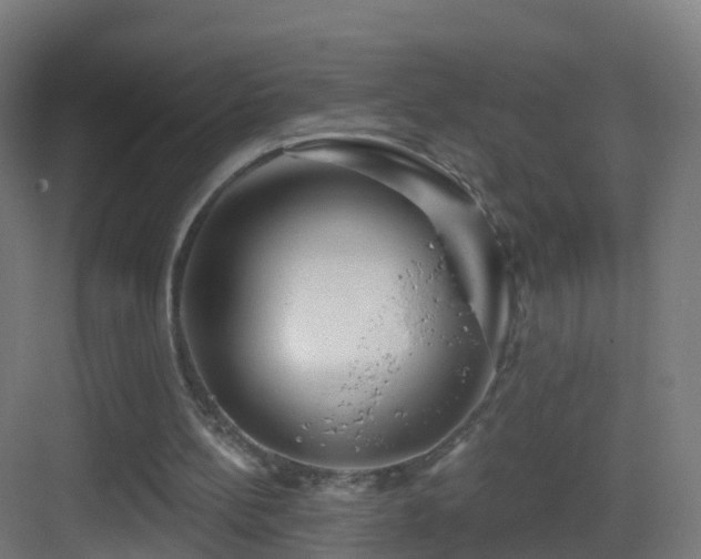 X0000083550148200702091107