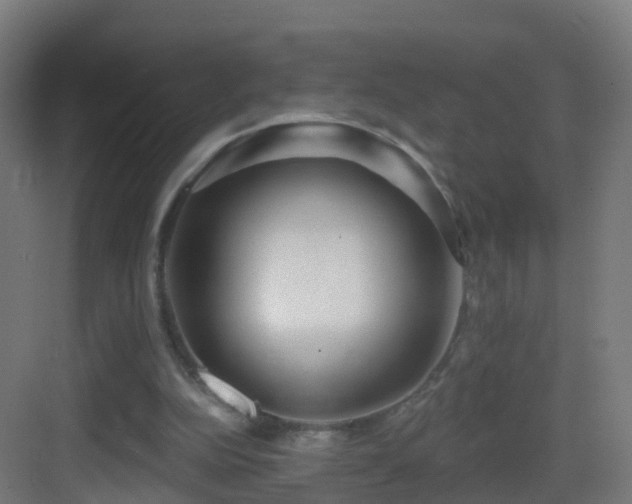 X0000083550152200702091107