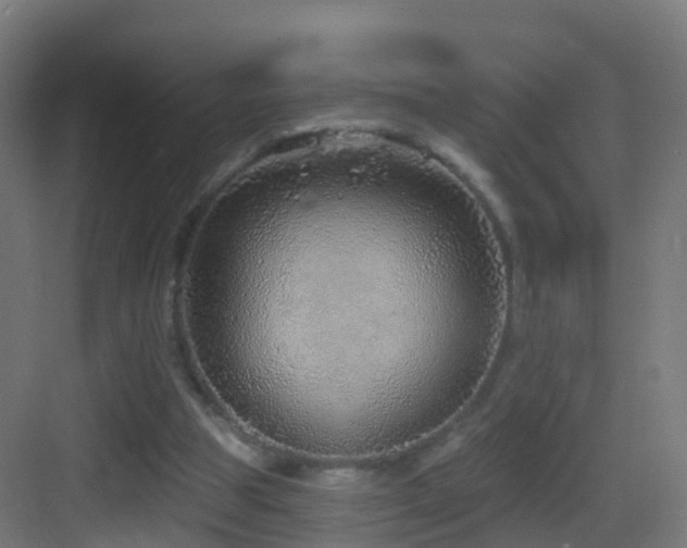 X0000083550153200702091107