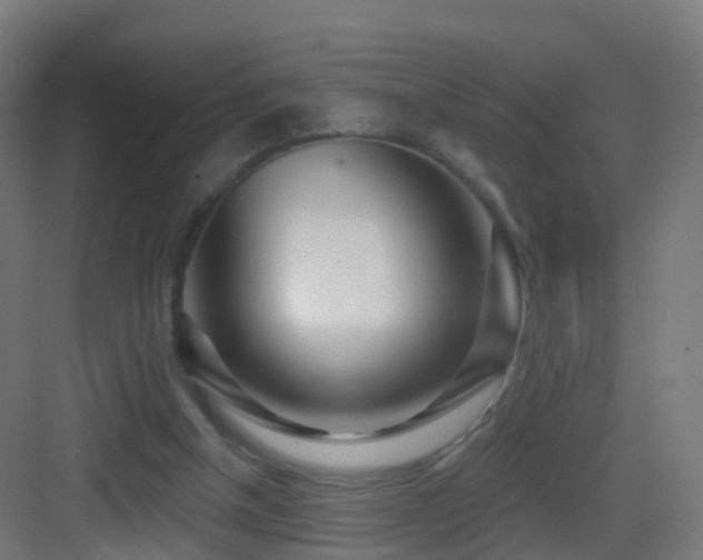 X0000083550154200702091107