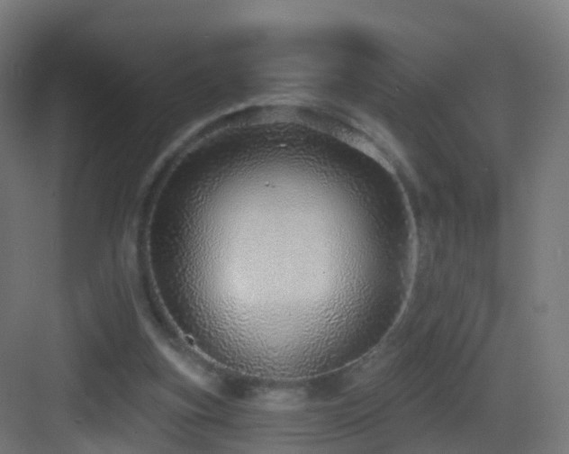 X0000083550155200702091107