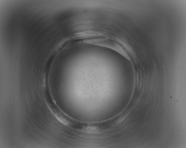 X0000083550157200702091108