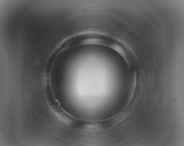 X0000083550160200702091108
