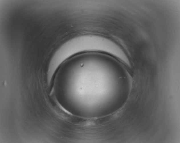 X0000083550162200702091108