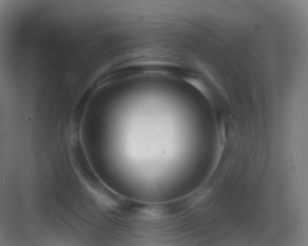 X0000083550164200702091108