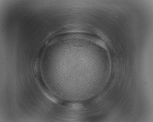 X0000083550165200702091108