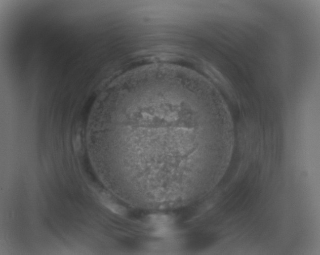 X0000083550169200702091108