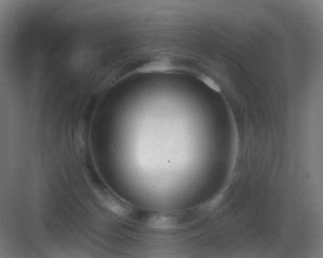 X0000083550174200702091108