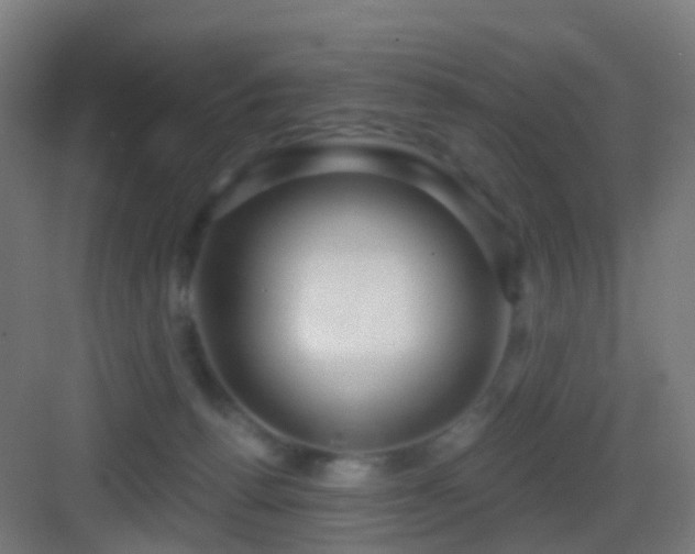 X0000083550176200702091108