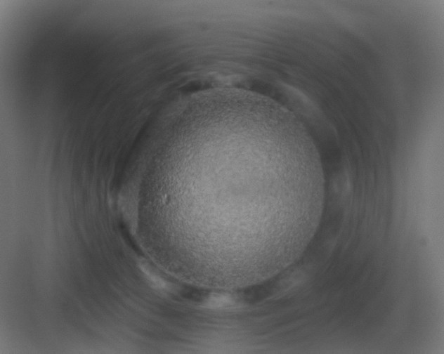 X0000083550177200702091108