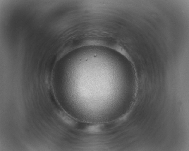 X0000083550178200702091108