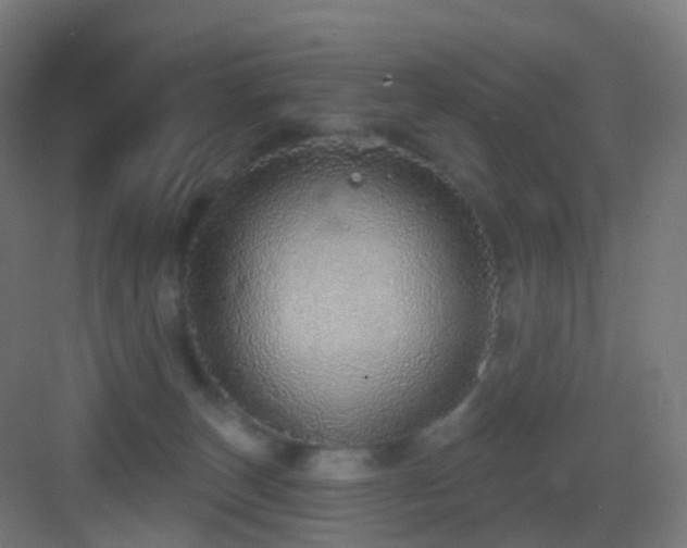 X0000083550179200702091108