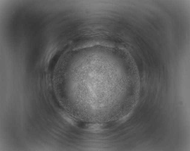 X0000083550182200702091108
