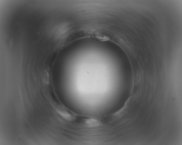X0000083550183200702091108