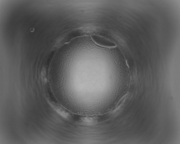 X0000083550187200702091108