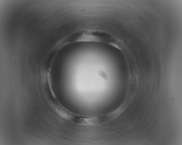 X0000083550188200702091108