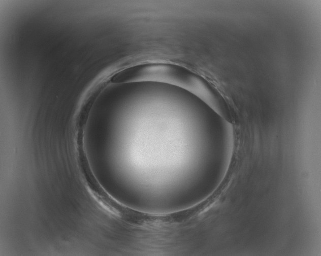 X0000083550197200702091107