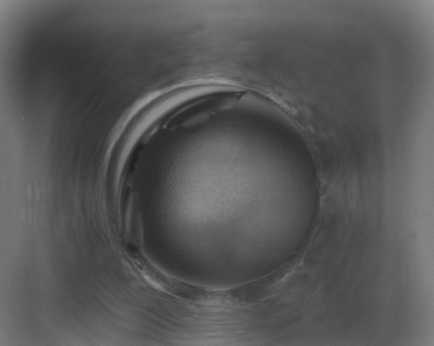 X0000083550200200702091107