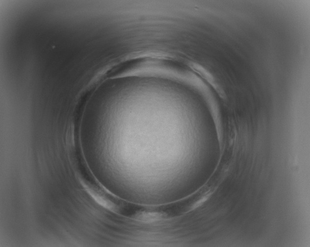 X0000083550205200702091107