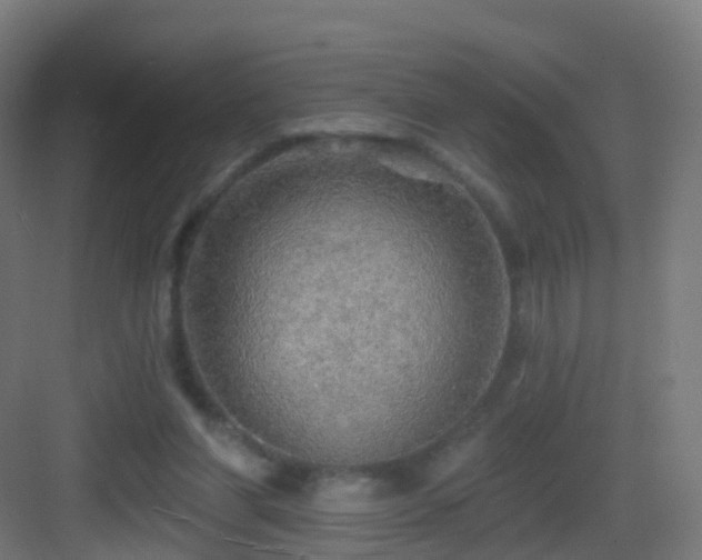 X0000083550206200702091107