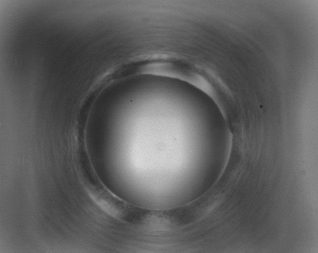 X0000083550207200702091107