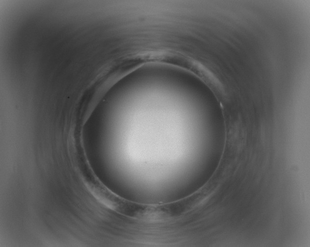 X0000083550209200702091107