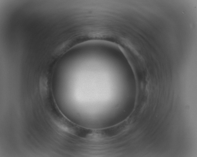 X0000083550211200702091107