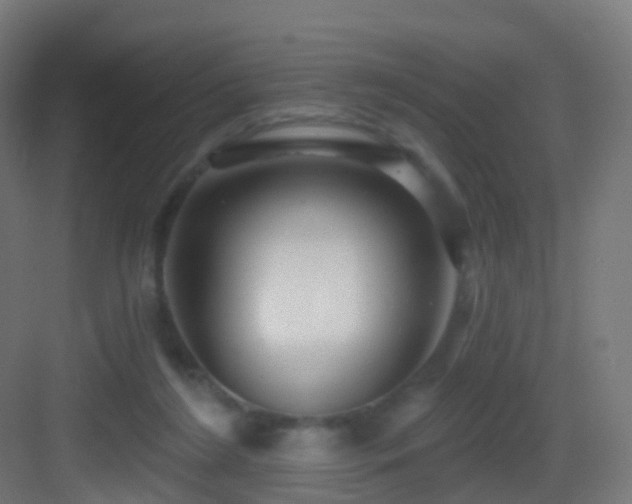 X0000083550212200702091107