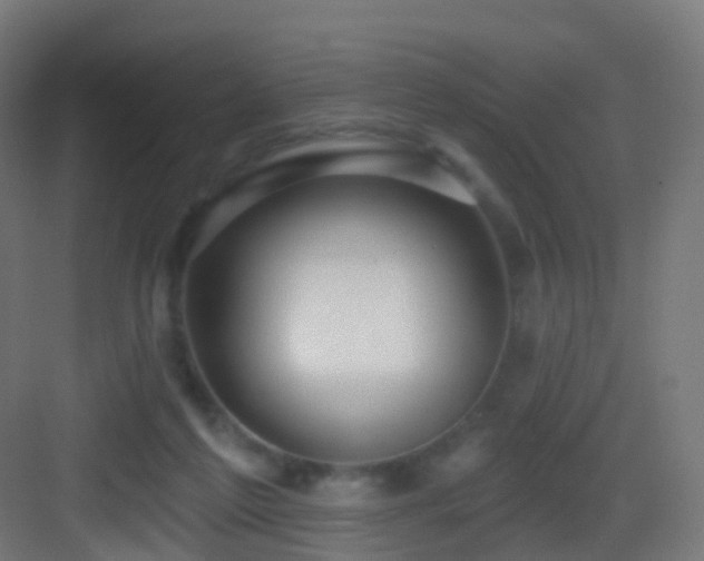 X0000083550213200702091107