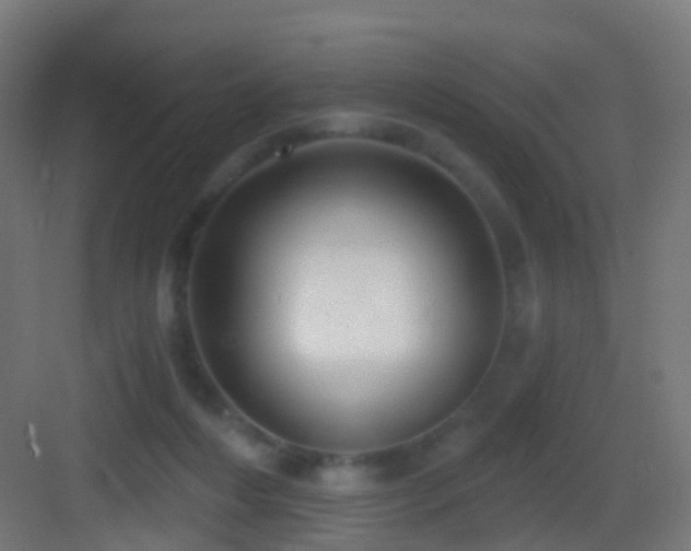 X0000083550216200702091107