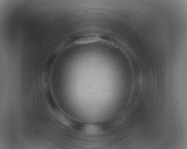 X0000083550218200702091107