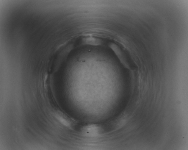 X0000083550219200702091107