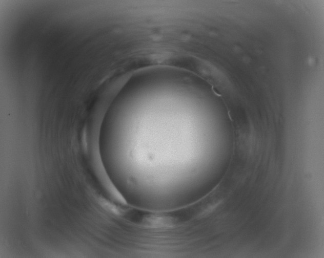 X0000083550221200702091107