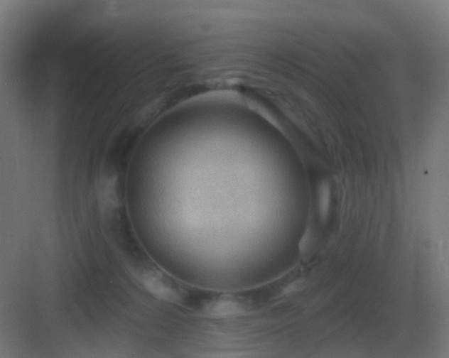 X0000083550224200702091107