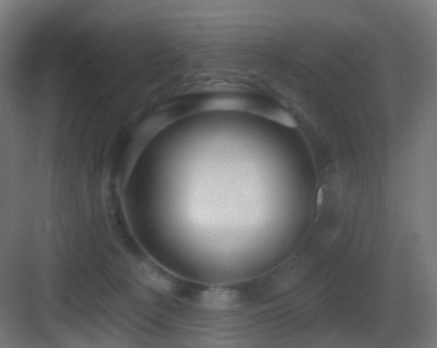 X0000083550225200702091107