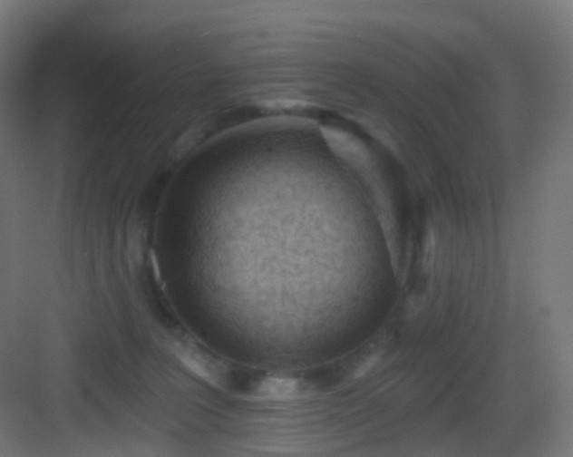 X0000083550227200702091107