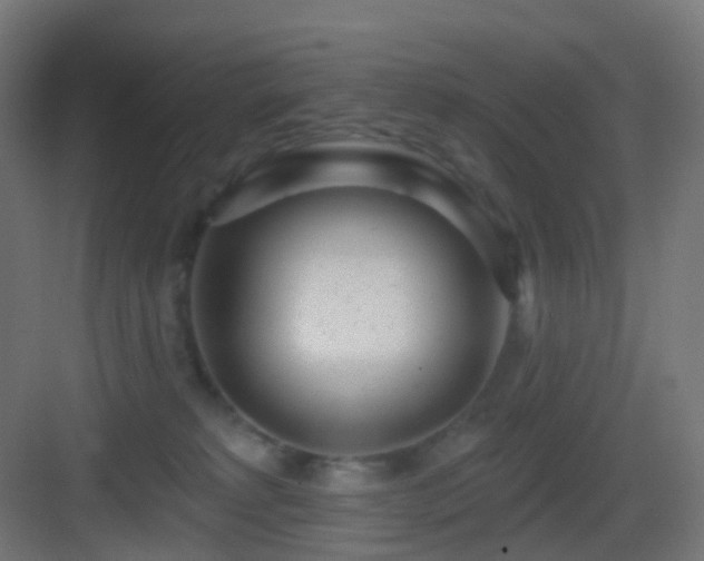 X0000083550229200702091107