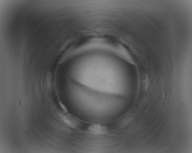 X0000083550231200702091107