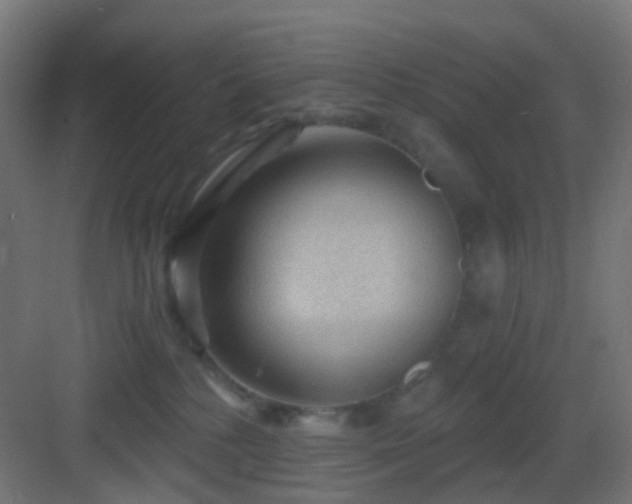 X0000083550232200702091107