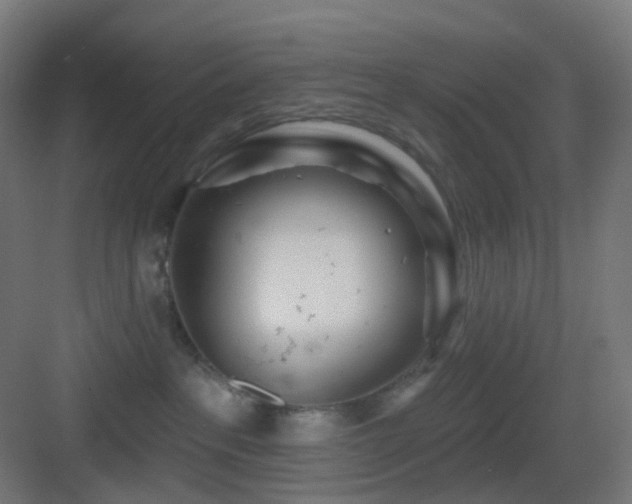 X0000083550237200702091107