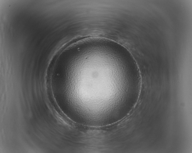 X0000083550242200702091106