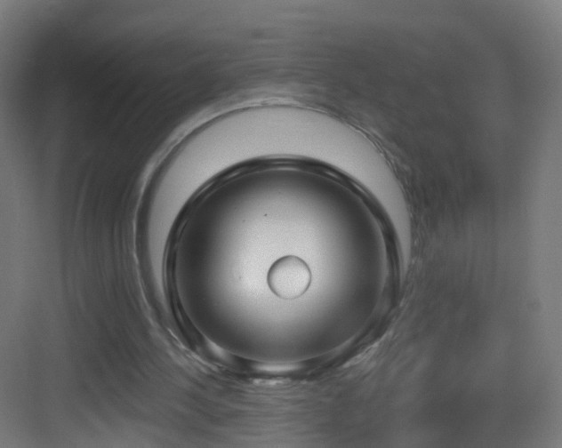 X0000083550244200702091106