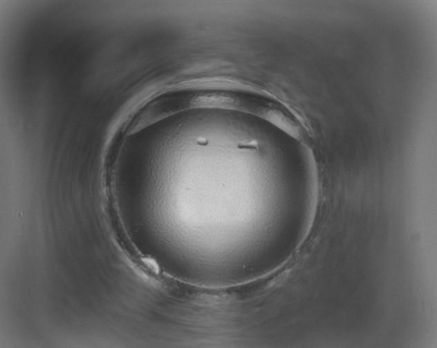 X0000083550245200702091106