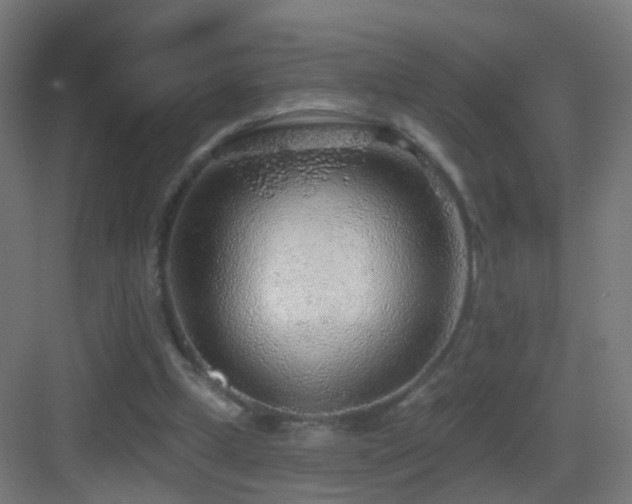 X0000083550249200702091106