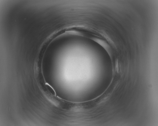 X0000083550252200702091106