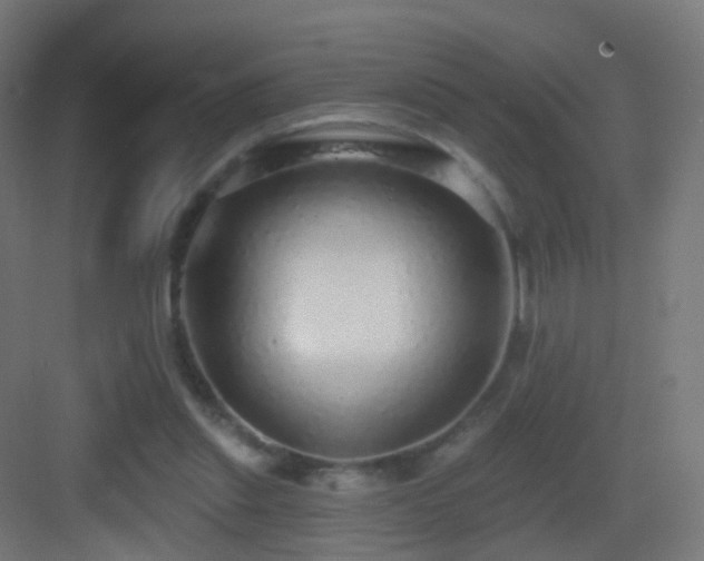 X0000083550253200702091106