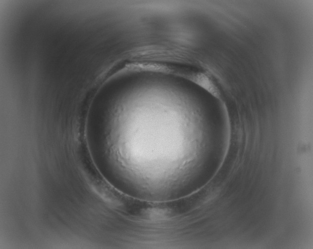 X0000083550255200702091106
