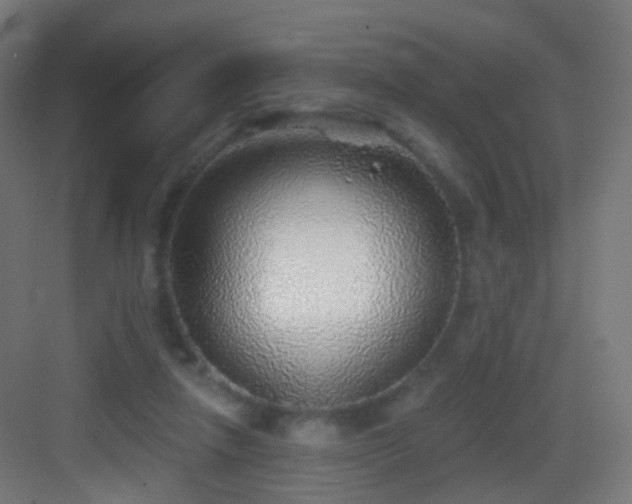 X0000083550258200702091106